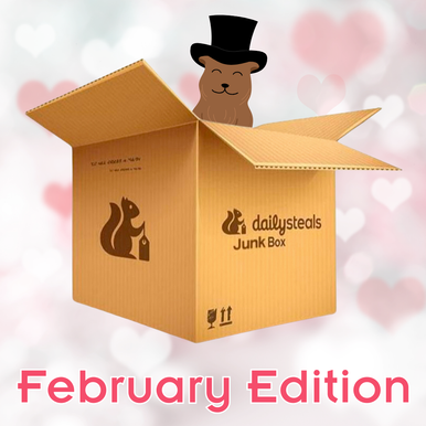 DailySteals Junk Box - February 2026 Edition!