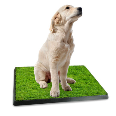 iMounTEK&reg; Pet Potty Training Artificial Grass Pad