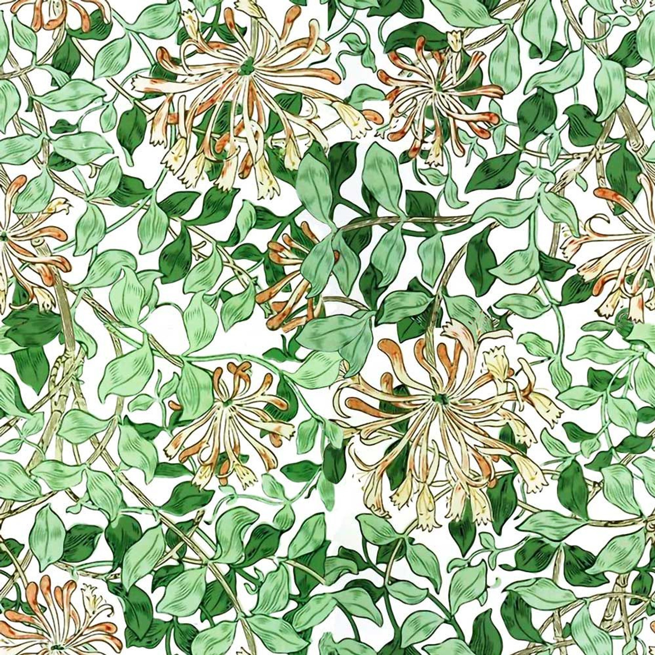 Wild Flowers WM09 Pattern Printed Tea Towel Made In Australia wild-flowers-wm09-pattern-printed-tea-towel-made-in-australia