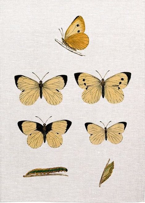 Life Of A Butterfly Tea Towel