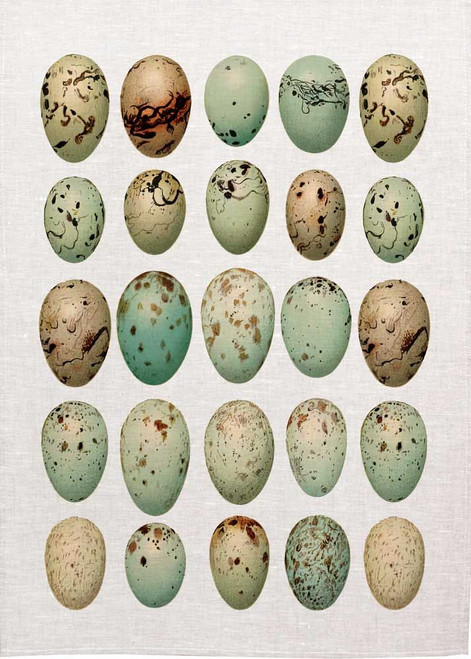 Picture Of Birds' Eggs Printed Tea Towel