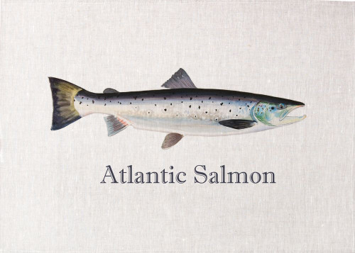 Atlantic Salmon Printed Tea Towel