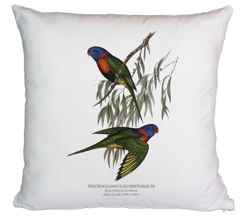 Red-Collared Lorikeet Printed Cushion Cover