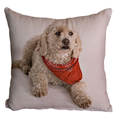 Dog Printed Cushion Cover