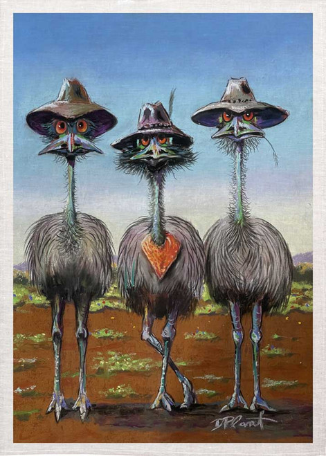 Outlaws 3 Bush Emus illustrated by David Plant