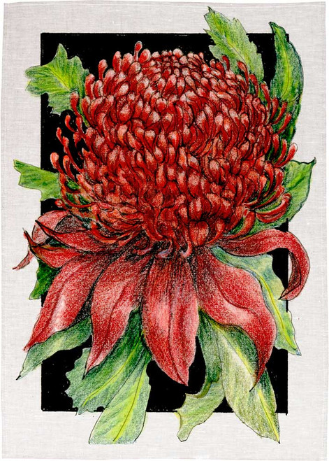 Waratah