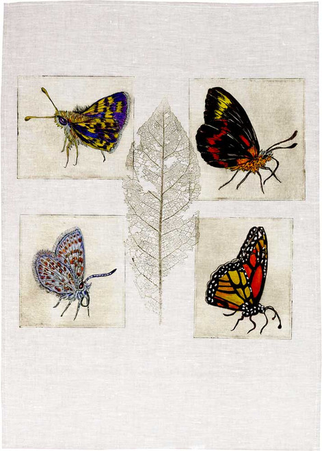 Butterflies By Minky Grant