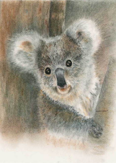 Koala By Minky Grant