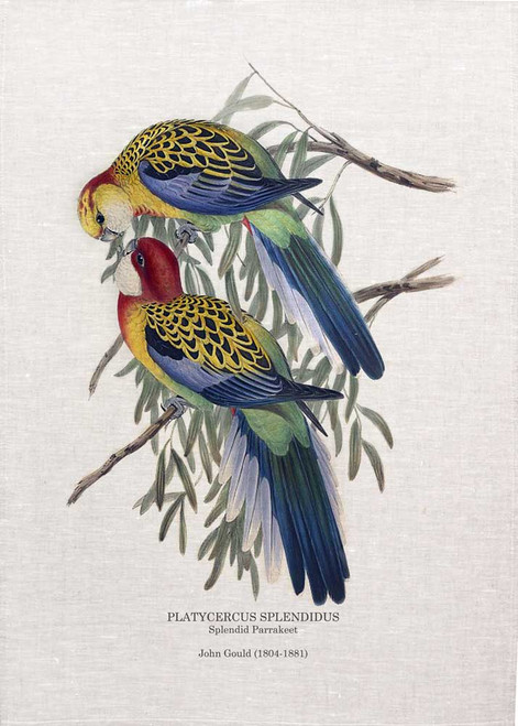 Splendid Parakeet, Platycercus splendidus by John Gould printed on tea towel Made in Australia