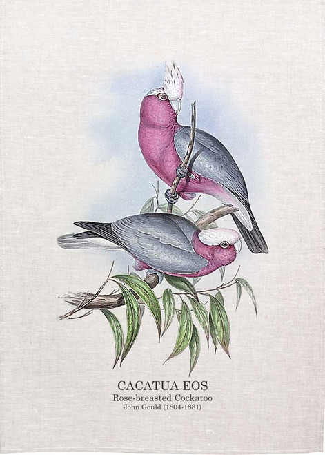 Rose-breasted Cockatoo CACATUA EOS  John Gould  printed on tea towel Made in Australia