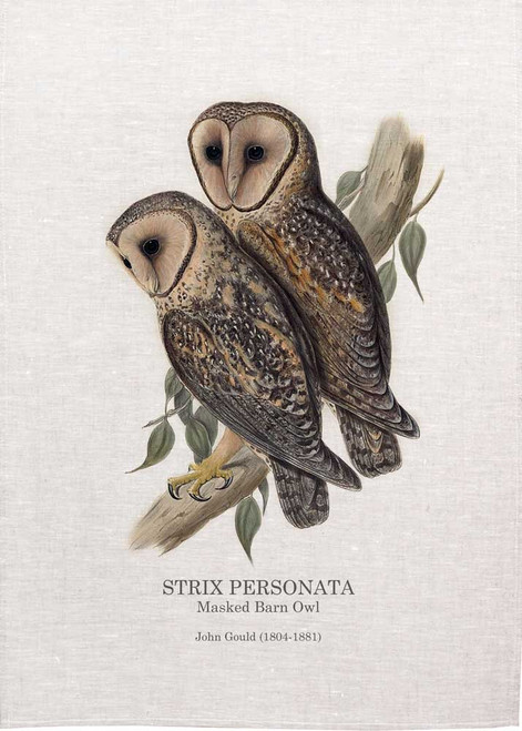 MASKED BARN OWL, STRIX PERSONATA,  by John Gould  printed on tea towel Made in Australia