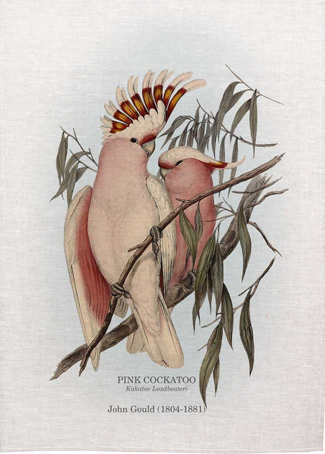 Pink Cockatoo, kakatoe Leadbeateri  by John Gould  printed on tea towel Made in Australia