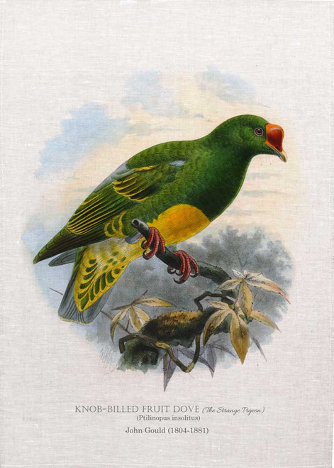 knob-billed fruit dove (The Strange Pigeon) by John Gould printed on tea towel Made in Australia