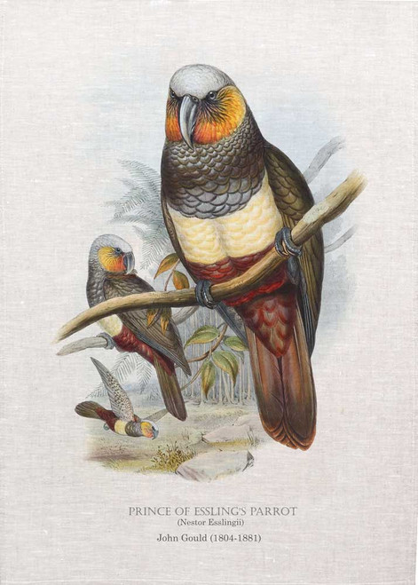 Prince of Essling's Parrot (Nestor Esslingii) illustrated by Elizabeth Gould printed on tea towel Made in Australia