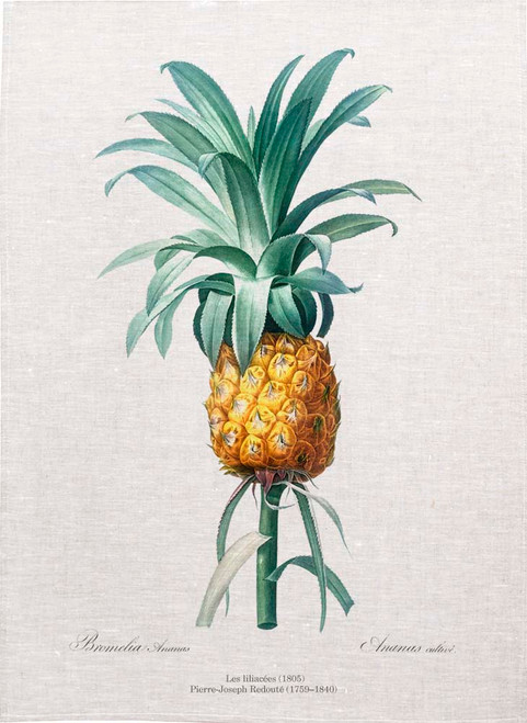 Pineapple from Les Liliacées (1805) Pierre Joseph Redoute tea towels, Printed in Australia