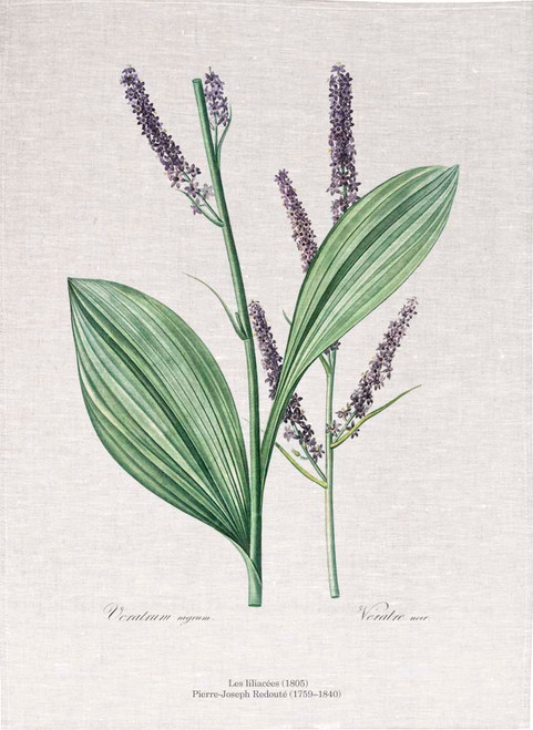 Pierre Joseph Redoute tea towel, Black false hellebore illustration, Made in Australia