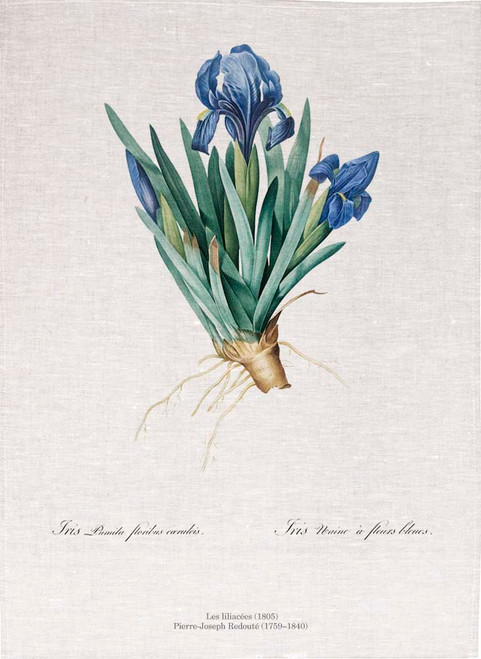 Pierre Joseph Redoute tea towel, Pygmy iris illustration, Made in Australia