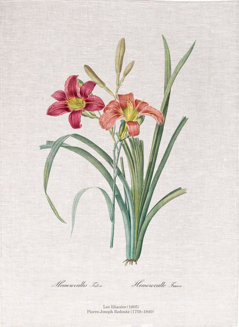Pierre Joseph Redoute tea towel, Orange day lily illustration, Made in Australia