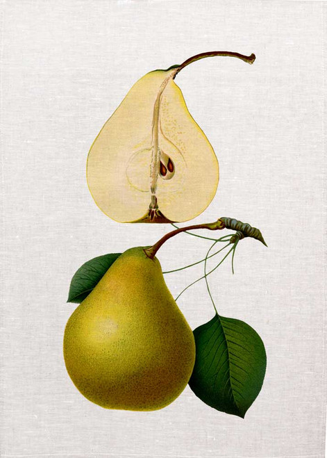 Pear illustration on tea towel, Made in Australia