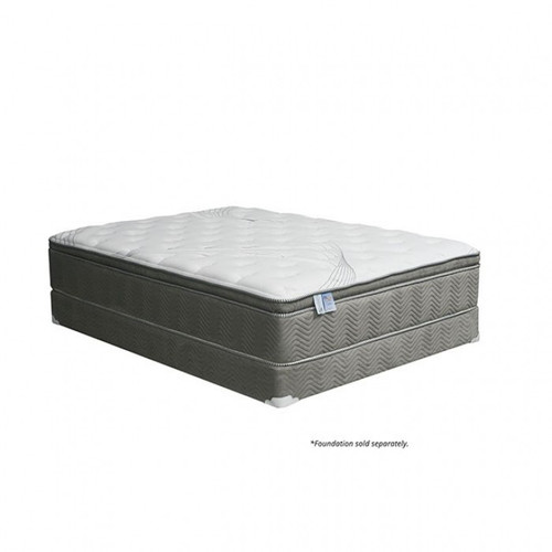 Stormin 13" Euro Pillow Top Mattress, Queen (DM338Q-M)