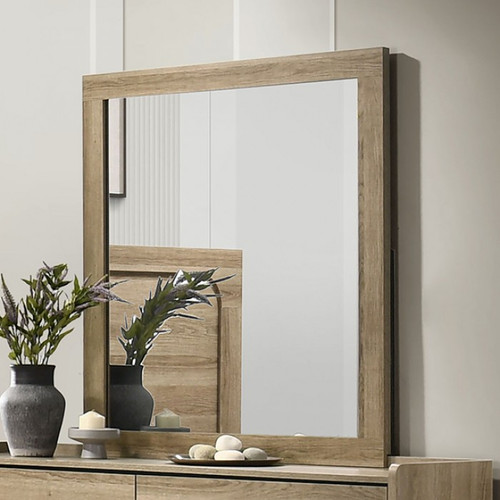 Cadden Mirror (FM72030AK-M)