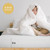 Artemisia 8" Twin Memory Foam Mattress (Roll-In-Box) (DM520-T)