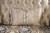 Palencia Sofa + Loveseat (FM65005BG-2PC)