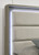 Rainier Queen Bed, Gray (FM72002GY-Q-U-BED)