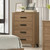 Panelli Chest, Chestnut Brown (FM72017BR-C)