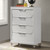 Lareina 4 Pc. Twin Bedroom Set w/ Chest (FM72081WH-T-5PC-C)
