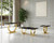 Horsham Coffee Table (FM47019GD-C)