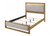 Elinora 5 Pc. Queen Bedroom Set w/ Chest (FM72023NT-Q-5PC-CHE)