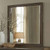 Newent Beveled Mirror (FM74009DW-M)