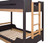 Nestor Twin/Twin Bunk Bed w/ 6 in Mattress (FM-BK201BK-T-BED+M6)