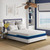 12" Revitalize Nautica Home Mattress EK