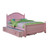 Dani - Trundle - Pink (CM7159PK-TR-VN)