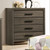Roanne - Chest - Gray (FOA7927C)