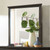 Alaina - 5mm Beveled Mirror - Walnut (FOA7916M)