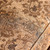 Nicanor - Sofa - Tan / Gold (SM6407-SF)