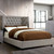Cayla - Queen Bed - Gray (CM7779GY-Q-BED-VN)