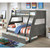 Hoople - Twin Over Full Bunk Bed - Gray (CM-BK963GY-BED)