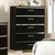 Carlie - Chest - Black (FOA7039C)