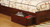Carus - Twin Bed - Cherry (CM7904CH-T-BED)