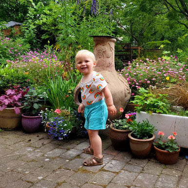 tan leather t bar sandals