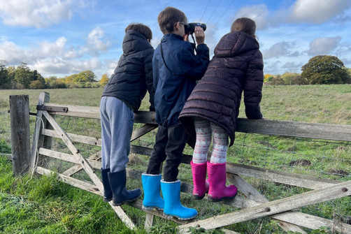 How to clean wellies