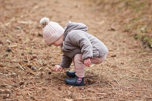 Autumn activity ideas