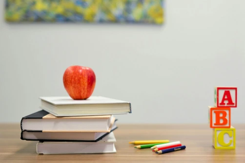 Is homeschooling better than standard school?