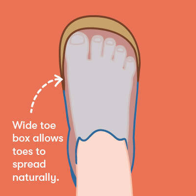 Illustration of child's foot in Start-Rite barefoot shoe focusing on toe area