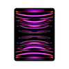 Apple iPad Pro 6th Gen 12.9" Tablet 256GB Wifi + GPS Space Gray iOS | Scratch & Dent | AP.TB.F03106
