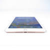 Apple iPad Mini 5 (WiFi Only) 7.9" Retina Display 64GB iOS - White/Gold | Scratch & Dent | AP.TB.F22196